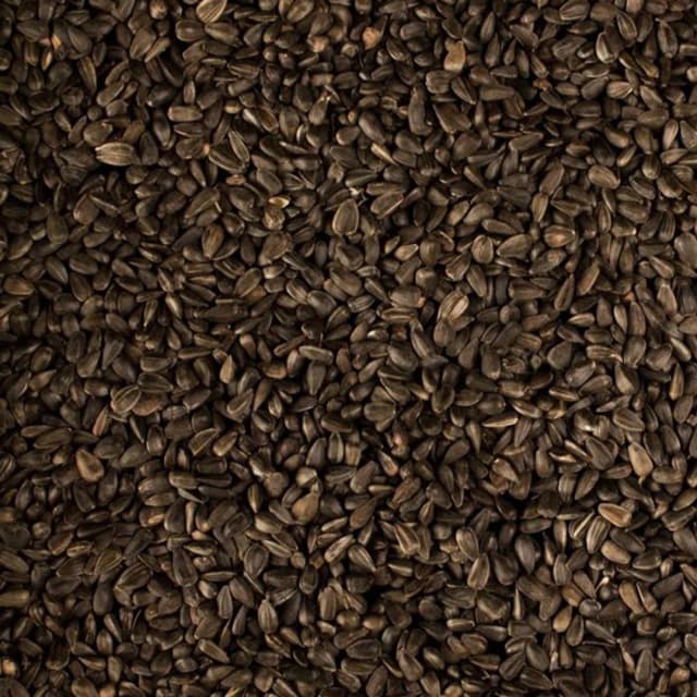 دانه آفتابگردان