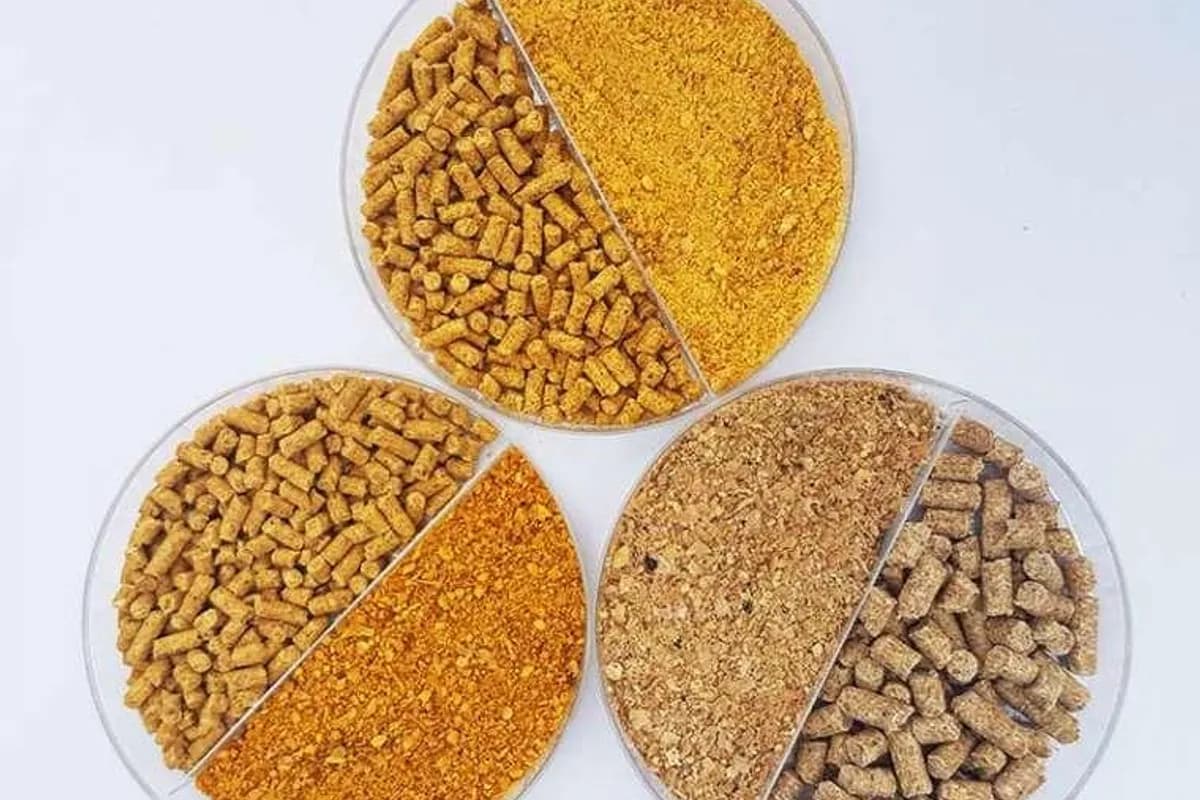 Pellet Meal or Flake Meal: Which Is Better for Animal Feed?