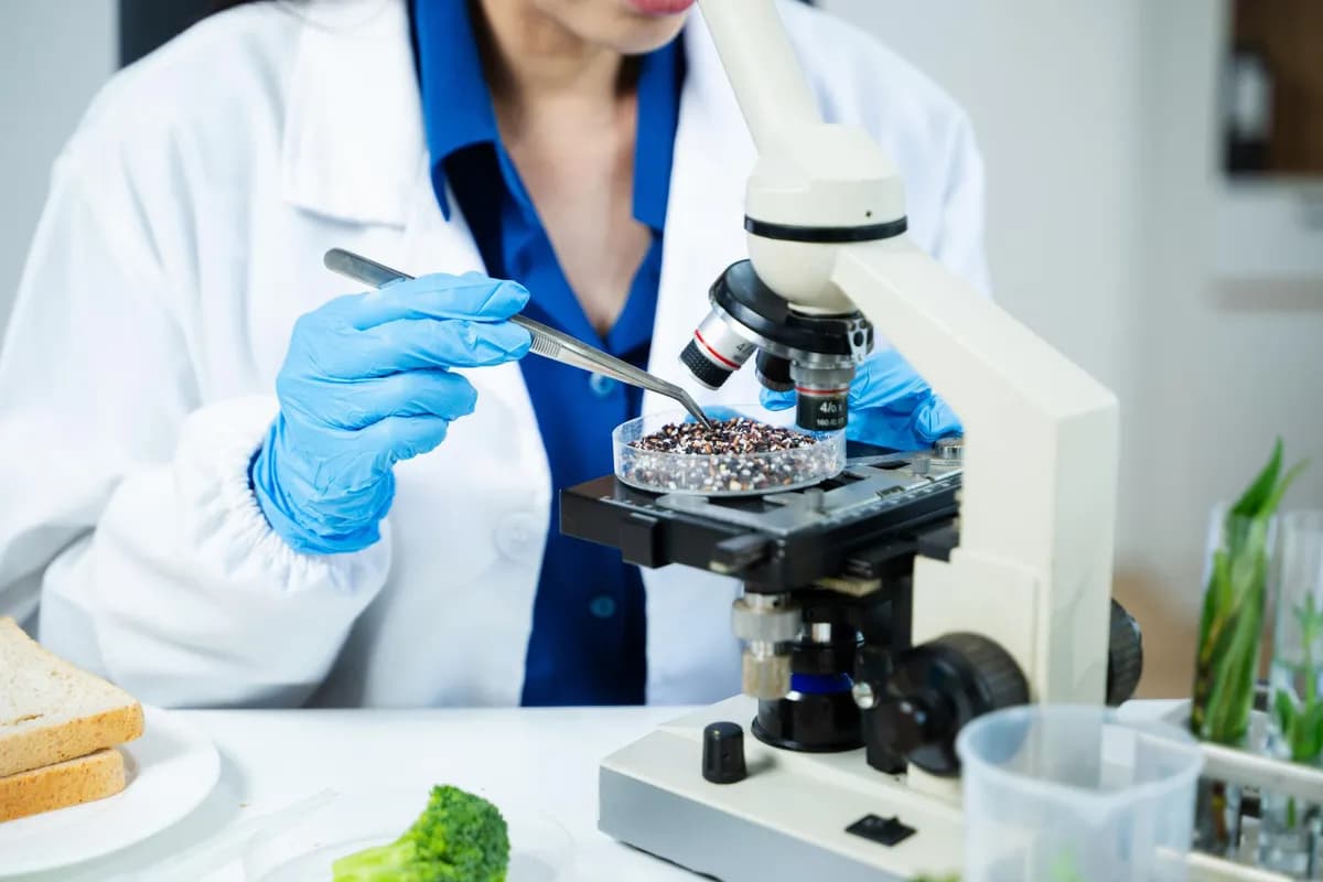 Why Do Moisture, Protein, and Fiber Matter in Meal Quality?